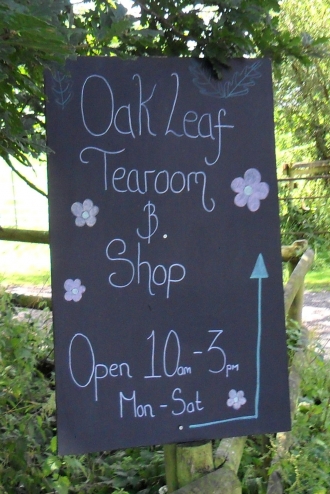 oak tree farm |oak leaf tea room gallery image 4