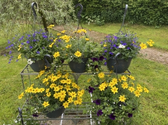 garden services and new shop galleries image 9