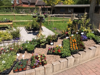 garden services and new shop galleries image 5