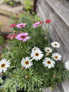 Events at Oak Tree Farm