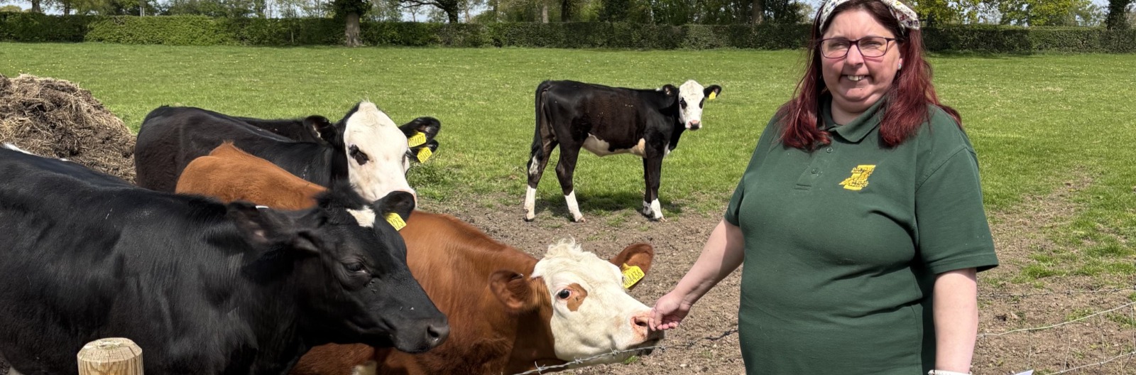 Oak Tree Farm, Activities