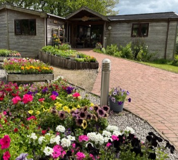 Shop, plants